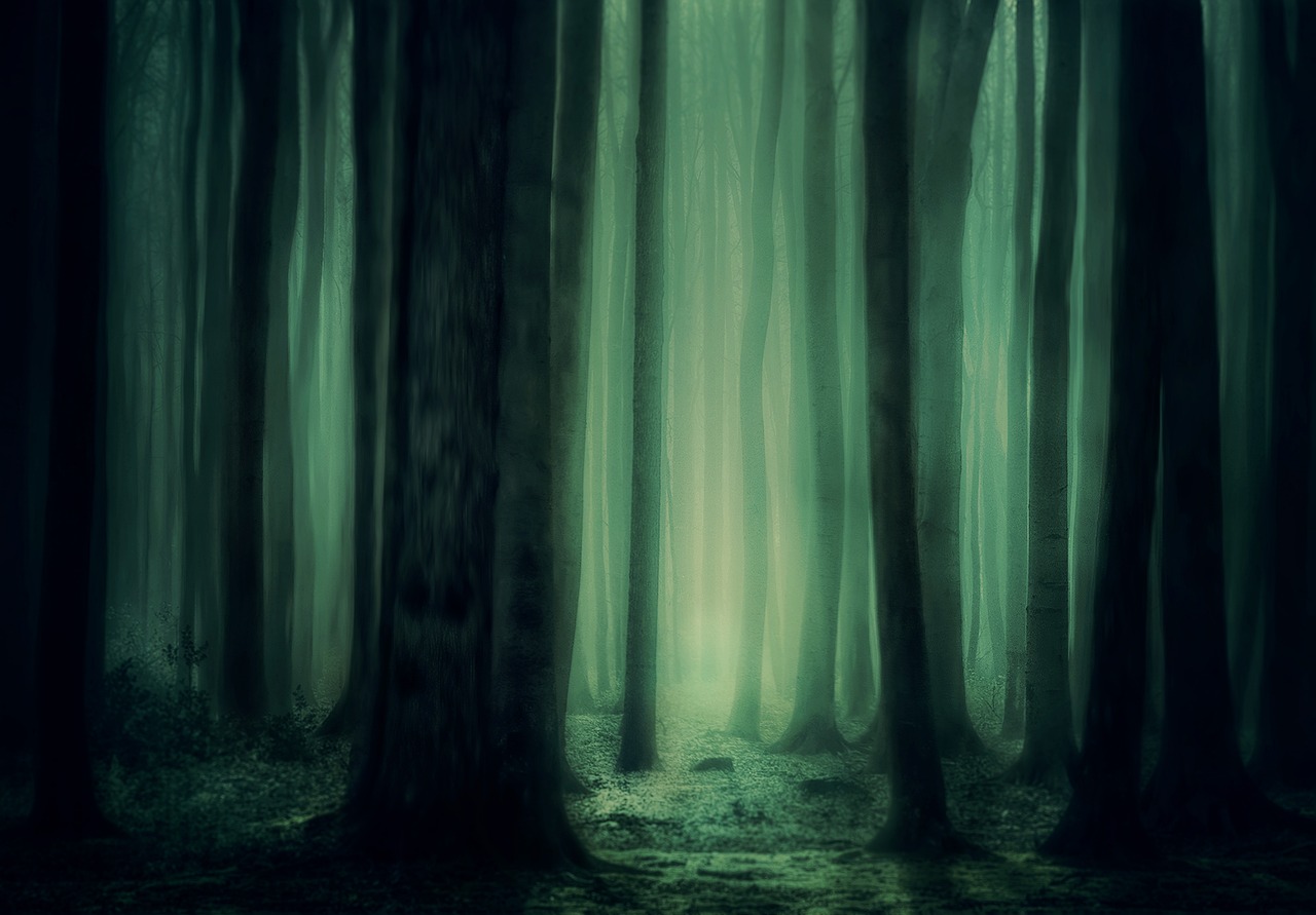 Thick forest